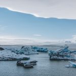 calafate glaciar