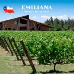 WhatsApp Image 2025-12-17 at 11.39.28 (1)