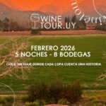 WhatsApp Image 2025-12-17 at 11.39.28 (2)