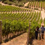 WhatsApp Image 2025-12-17 at 11.40.49