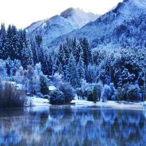 Bariloche Terrestre Mayo 2026