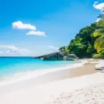 Navidad 2026 en Florianópolis Con Media Pensión y Paseos 8 Días.